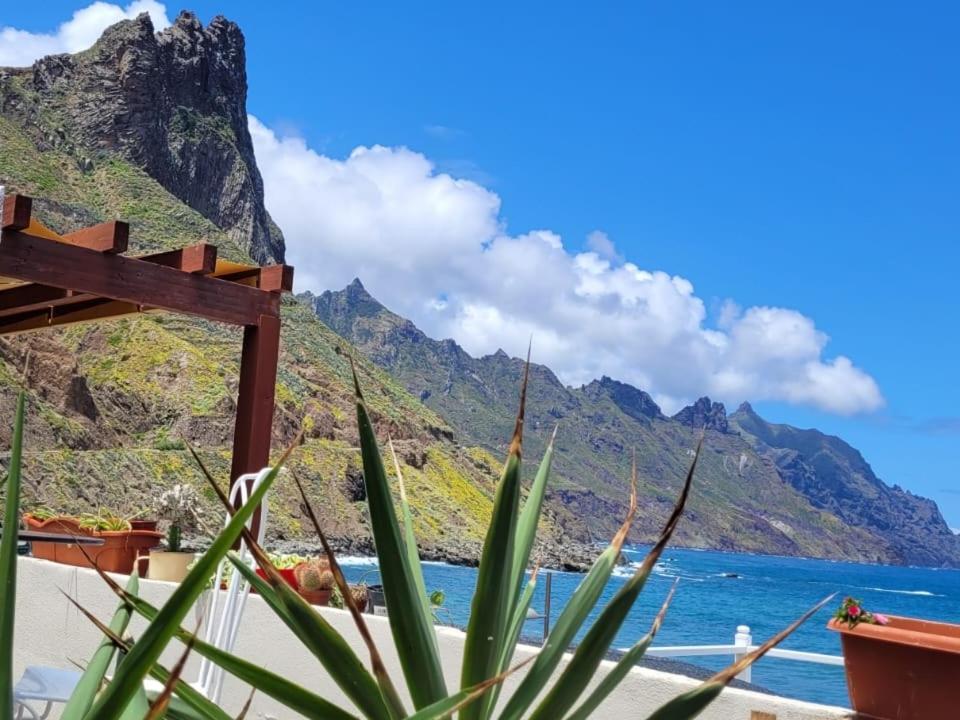 Picasso 1 New Paraiso Playa Relax-surf-trail-photo Santa Cruz de Tenerife